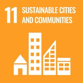 SDG 11 icon